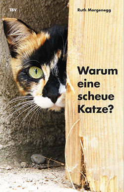 buch warum eine scheue katze ruth morgenegg